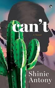 literary fiction