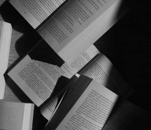 novels with unreliable narrators