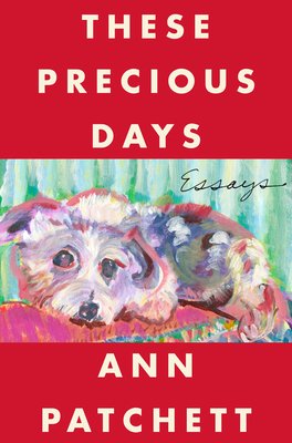 Essay Collections that prove you're a versatile reader